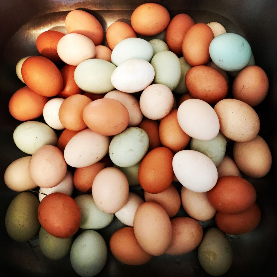 Can Keto Really Help With Diabetes, Gut Issues, Iron Deficiency, and Autoimmune Disease? Here's What I've Learned.